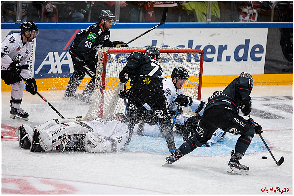 DEL, Koelner Haie - Nuernberg Ice Tiger, 24.01.2017